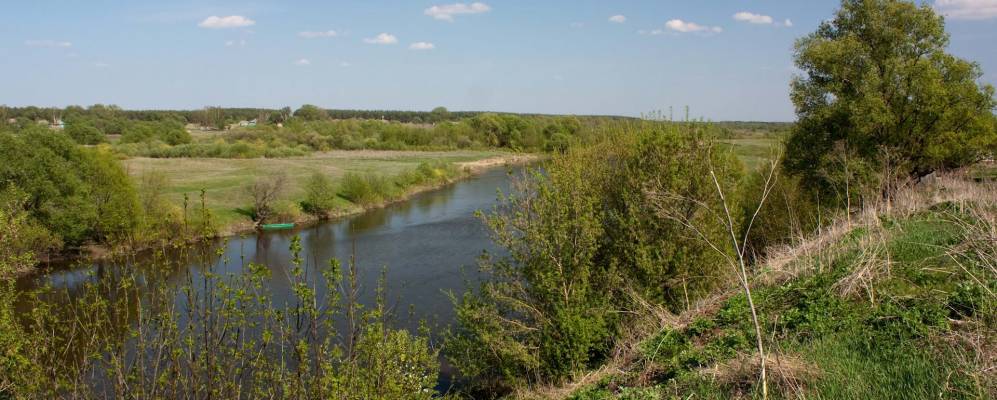 Хутор курский. Река Виногробль. Деревня Панкеево Курская область Конышевский район. Хутор Ясный Конышевский район. Хутор Липница Конышевский район.