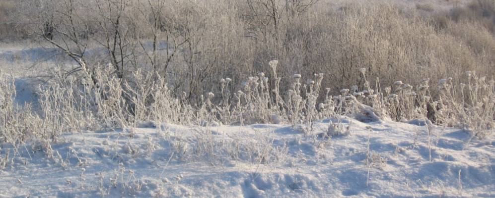 
            Фотография Городка