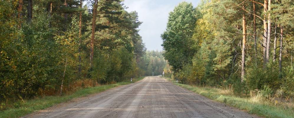 
            Фотография Воли