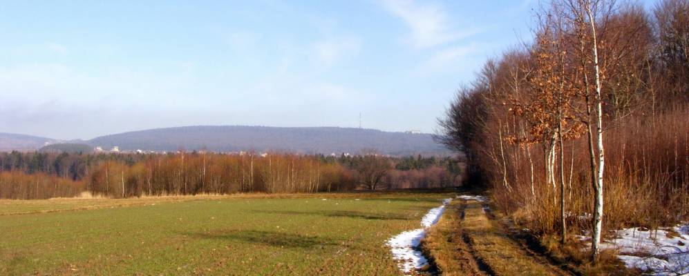 
            Фотография Lechów