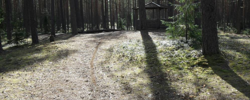 
            Фотография деревни Прилуки