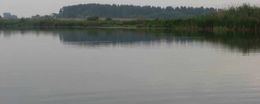 Бузовка днепропетровская область