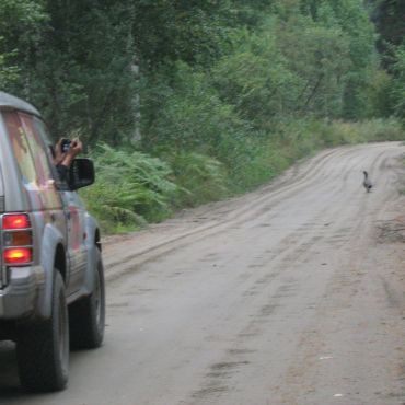 Шипуново