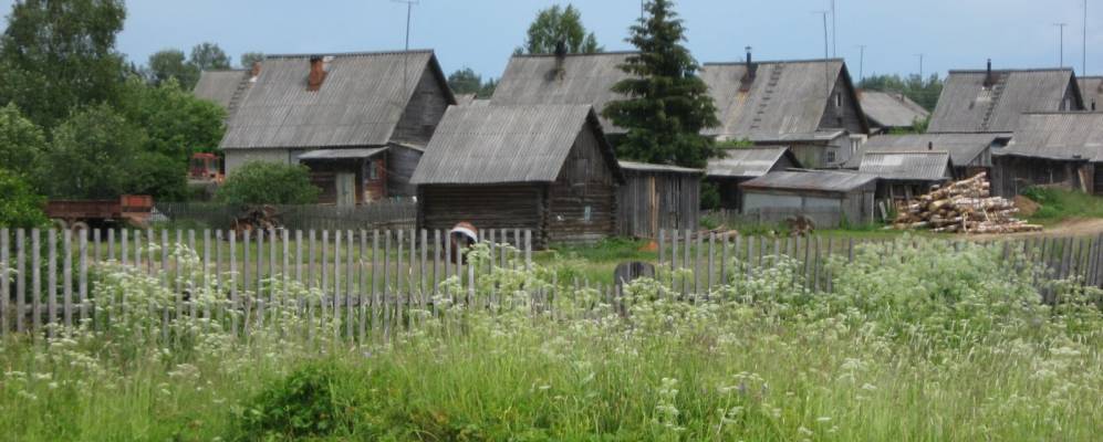 
            Фотография Галкино