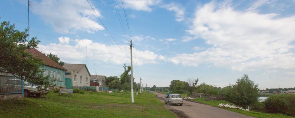 Село константиновка. Деревня Елизаветовка Глушковский район. Село Елизаветовка Глушковского района. Елизаветовка Курская область Глушковский район. Деревня Елизаветовка Курская область Глушковский район.