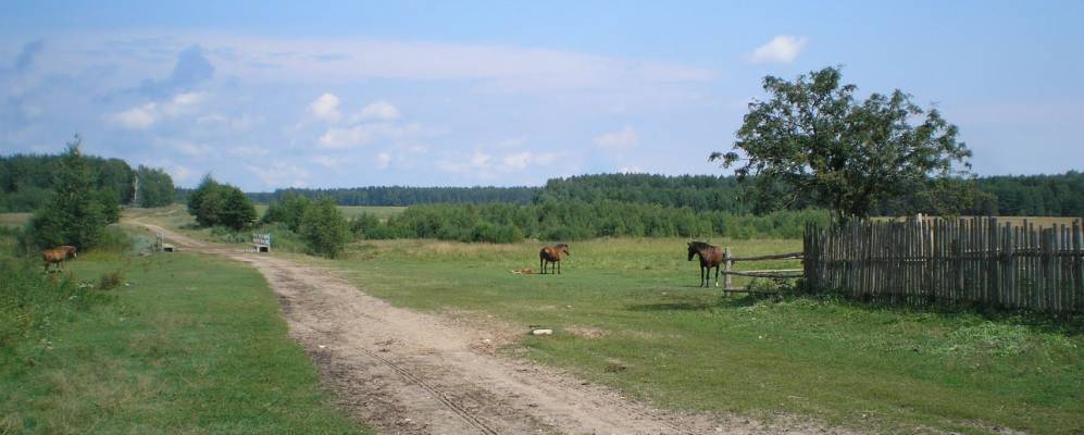 Деревни могилевской. Деревня долгое Кличевского района. Деревни Кличевского района. Деревня Усохи Кличевского района. Костричская Слободка.