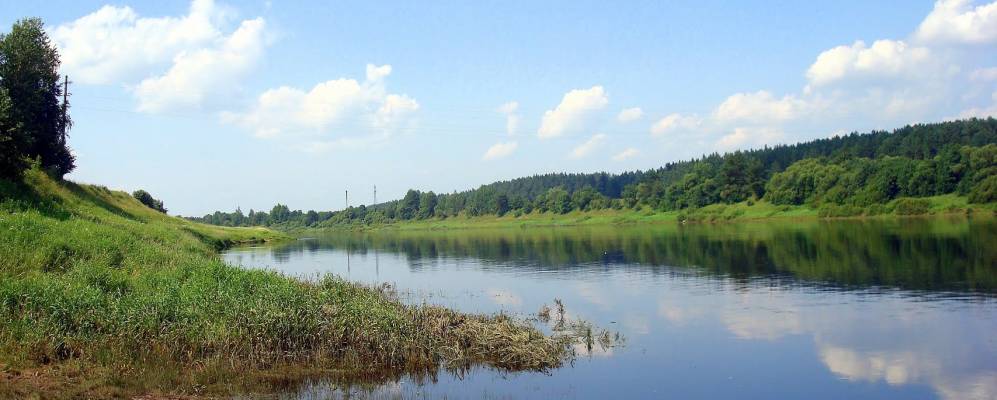 Деревня Николаево Каменецкий район