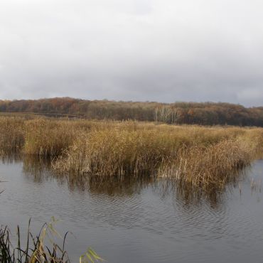 Нападовка