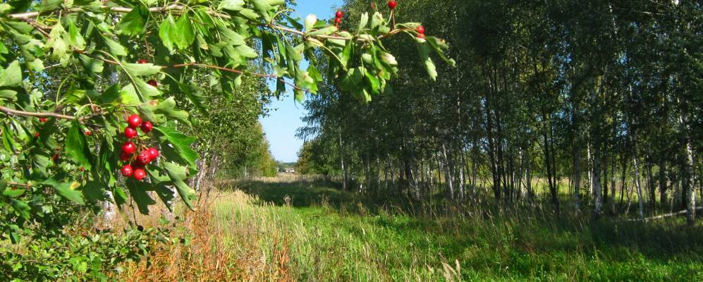 
            Фотография Куйманов