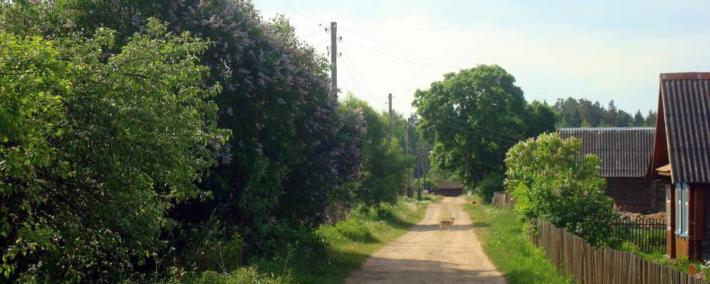 
            Фотография Беловодки