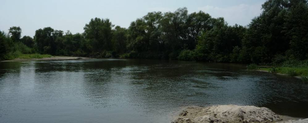 Погода село комаровка. С Комаровка Екатериновского района Саратовской области. Саратовская область Екатериновский район село Комаровка. Посёлок Прудовое Екатериновский район Саратовская область. Село Комаровка Саратовской области Воскресенский район.