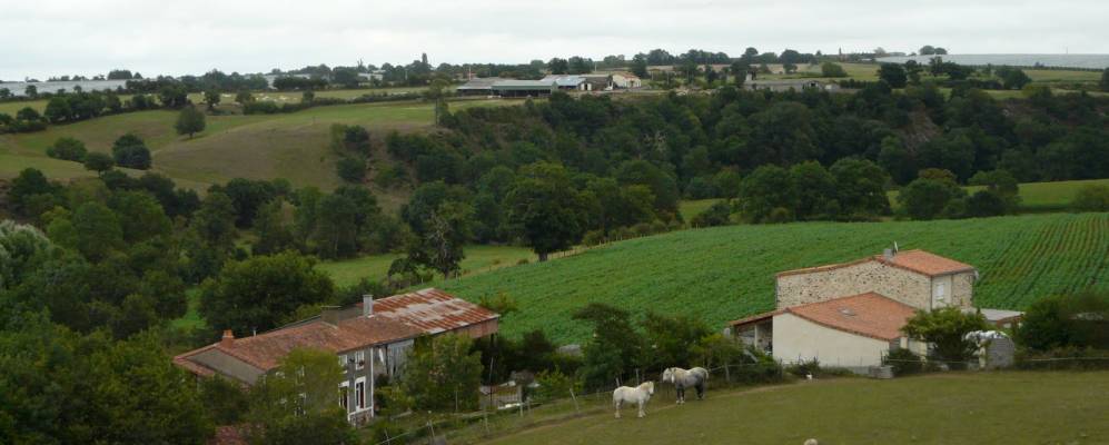 
            Фотография La Boissière-sur-Evre