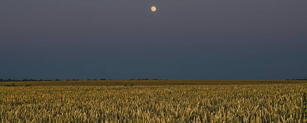 
            Фотография Сотникова