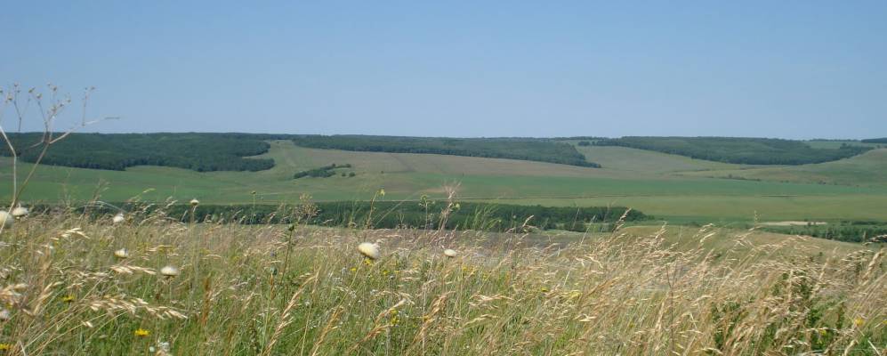 
            Фотография Лугового