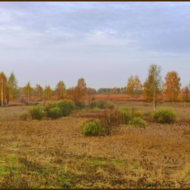 Спасское