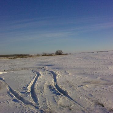 Алексеевский