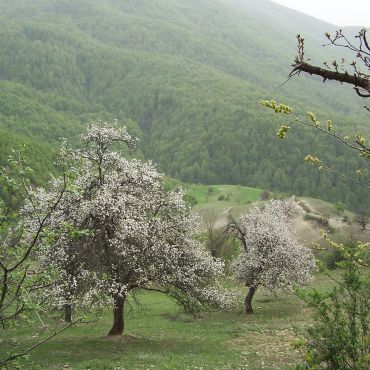 Гёкчебей