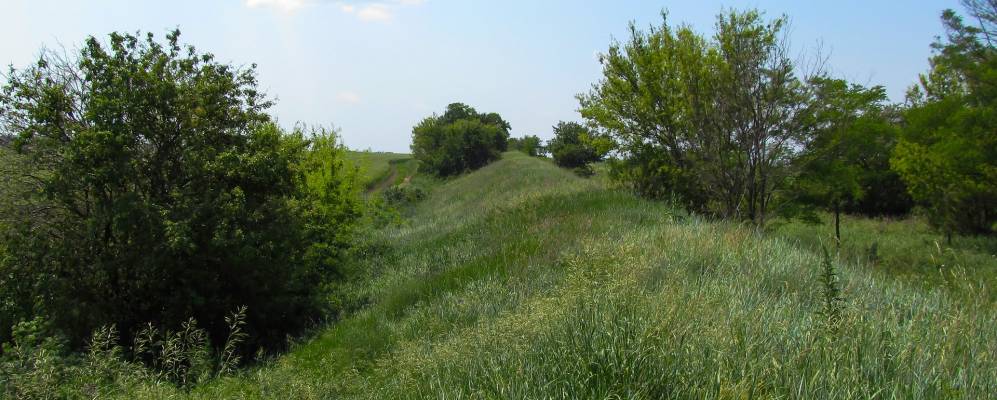 Погода сорокино белгородская область красногвардейский