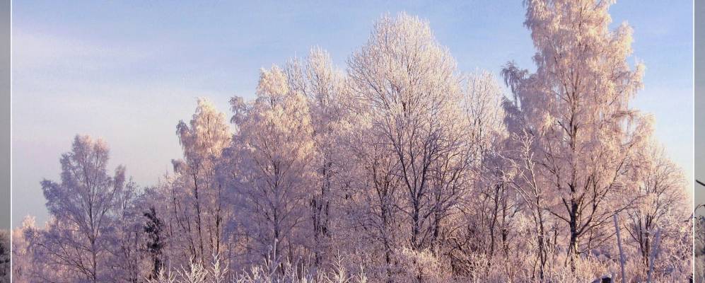 
            Фотография Пелешей