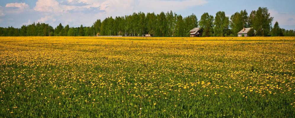 
            Фотография Марково