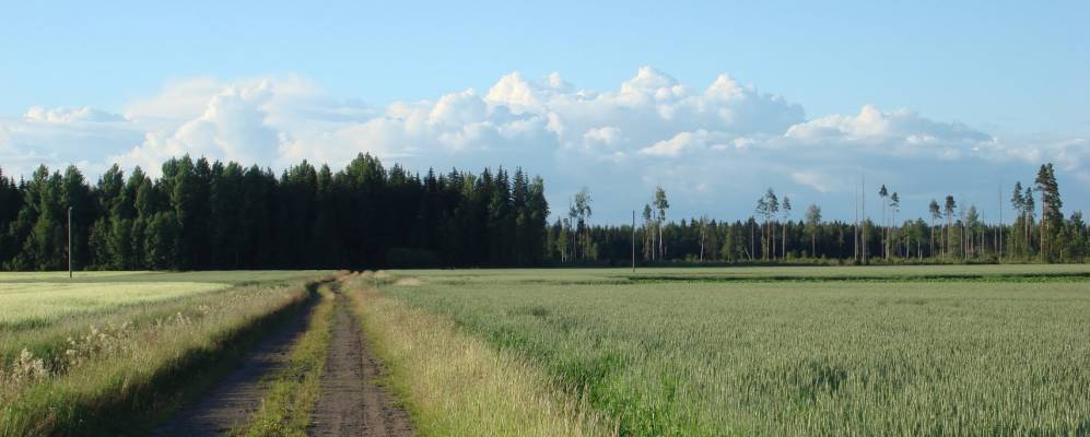 
            Фотография Pitkäjärvi
