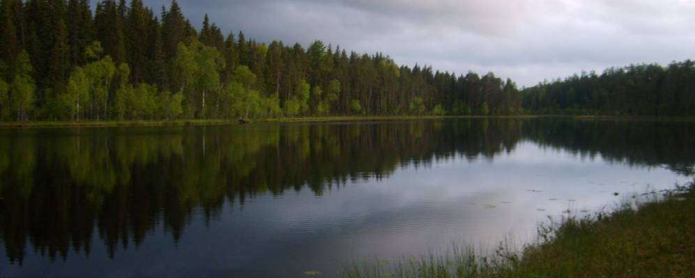 
            Фотография Нового Лукино