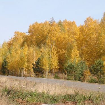 Сергеево