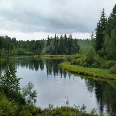 Гусева