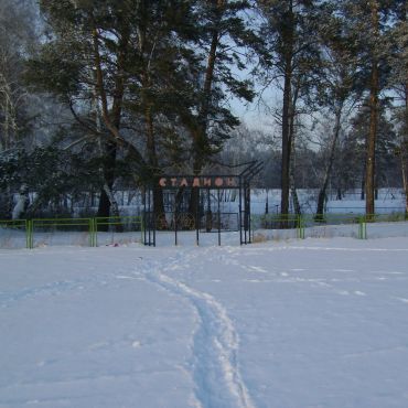 Гришенское