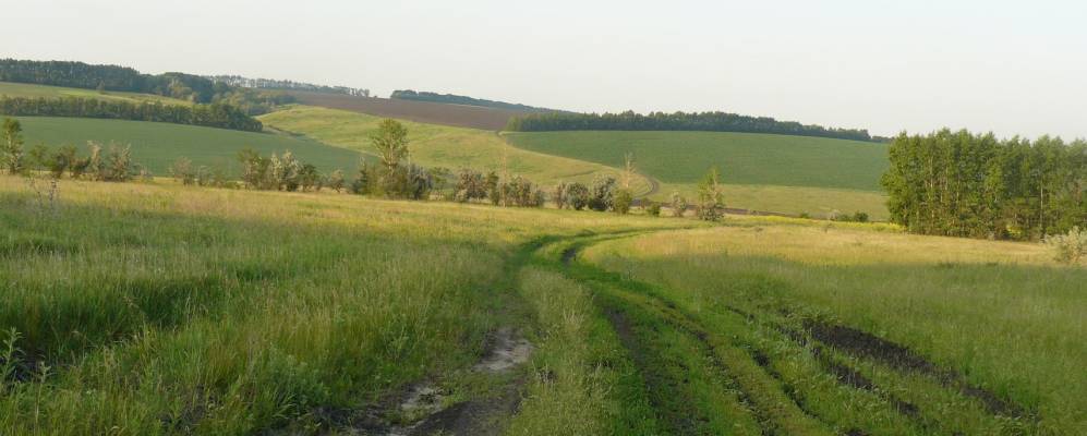 
            Фотография Зварыкино