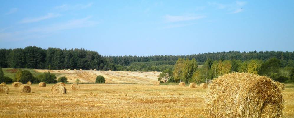 
            Фотография Затемени