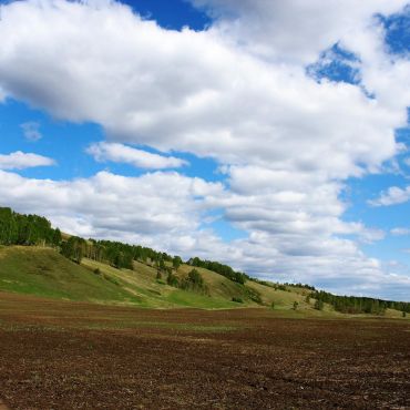 Рощинский