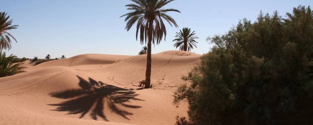 
            Фотография Lac Yasmins