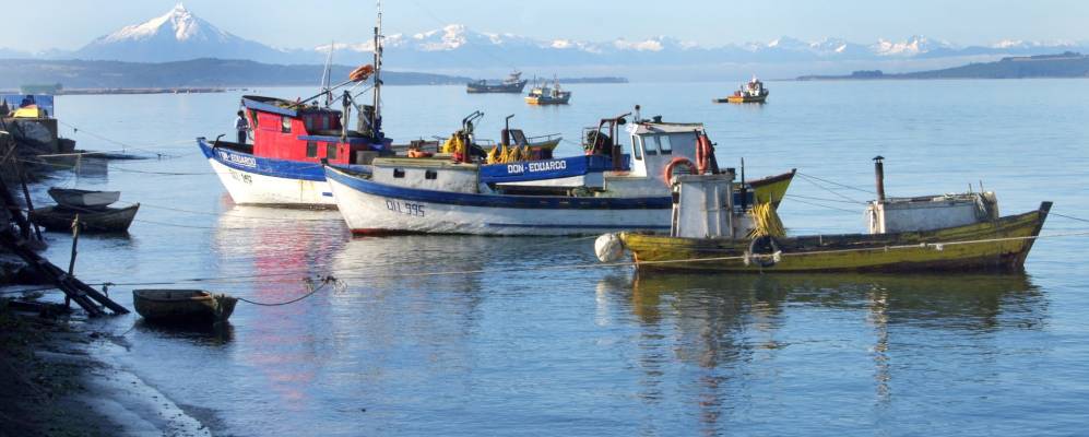 
            Фотография Puerto Quellón