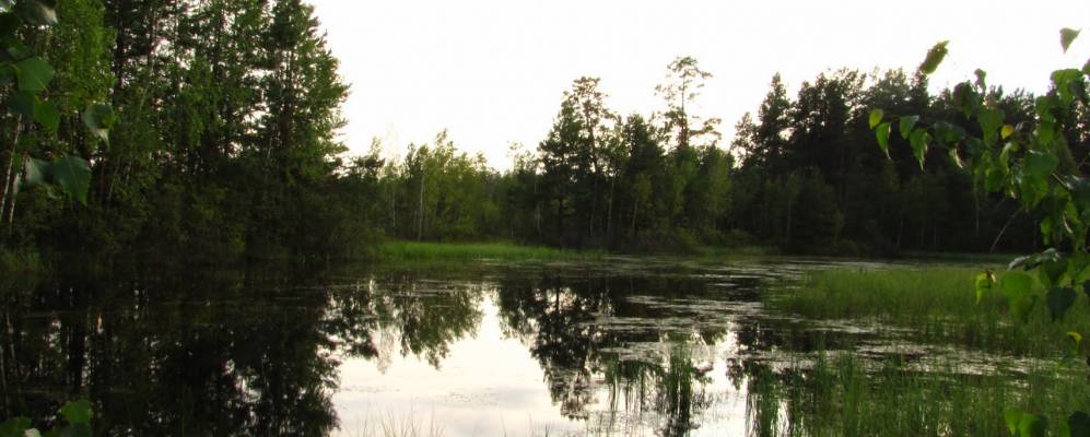 
            Фотография агрогородка Стодоличи