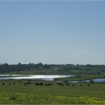 Павловка