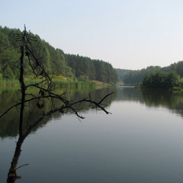 Соловецкий