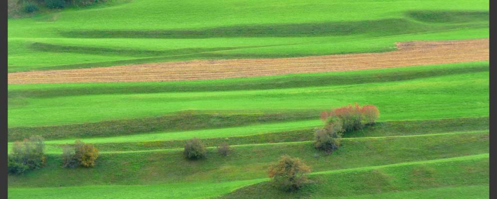 
            Фотография Кунтера