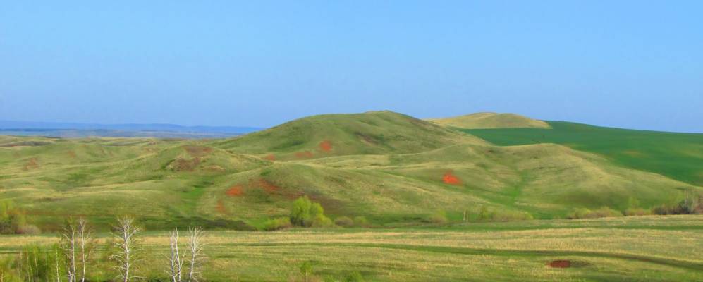 Погода в бакаево оренбургская область. Село Бакаево Оренбургская область.