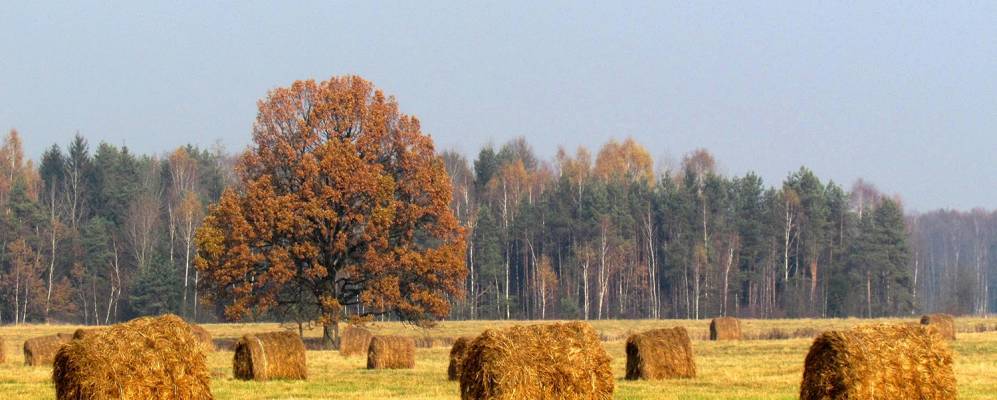 
            Фотография деревни Капские