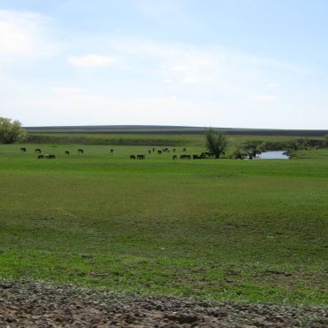 Кандалинцево