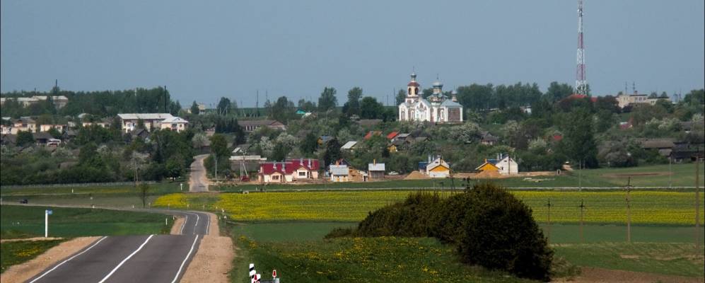 
            Фотография деревни Малосельцы