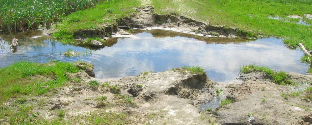 Фотография Воскобойники