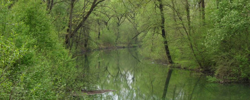 
            Фотография Dolní Domaslavice