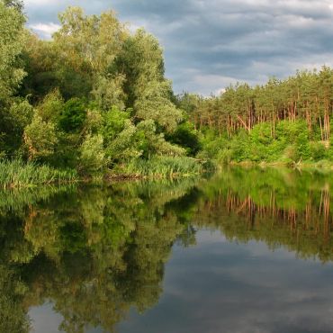 Перелески