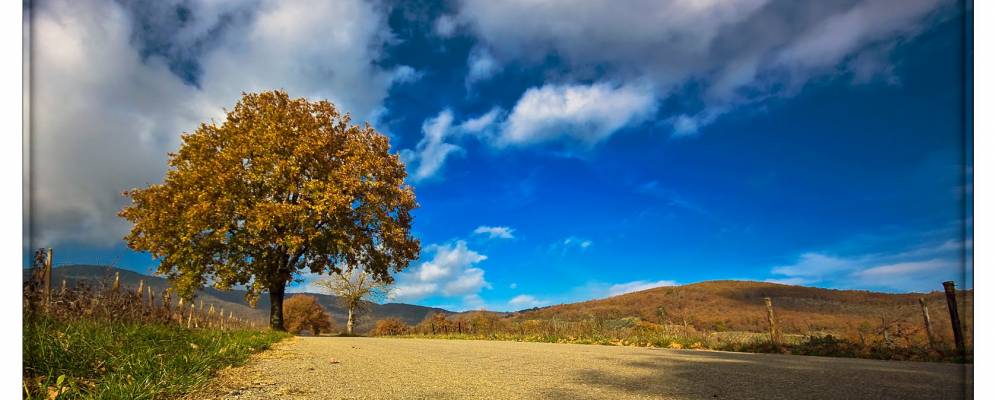 
            Фотография Амбры