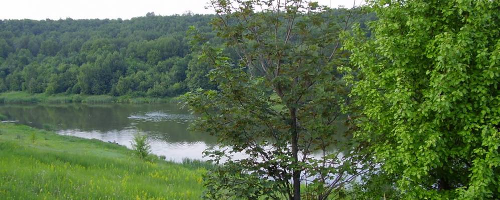 Погода луханино белгородская область