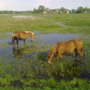 Кудинцево