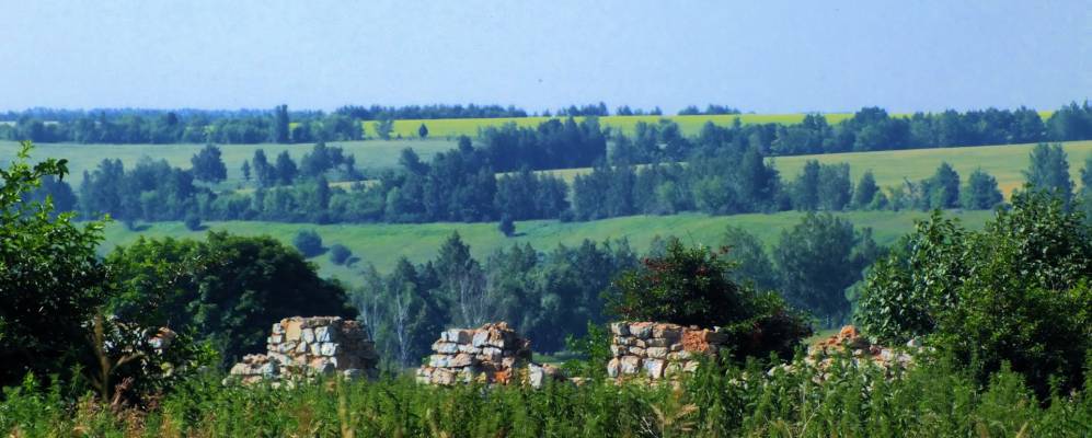 
            Фотография Левашовки