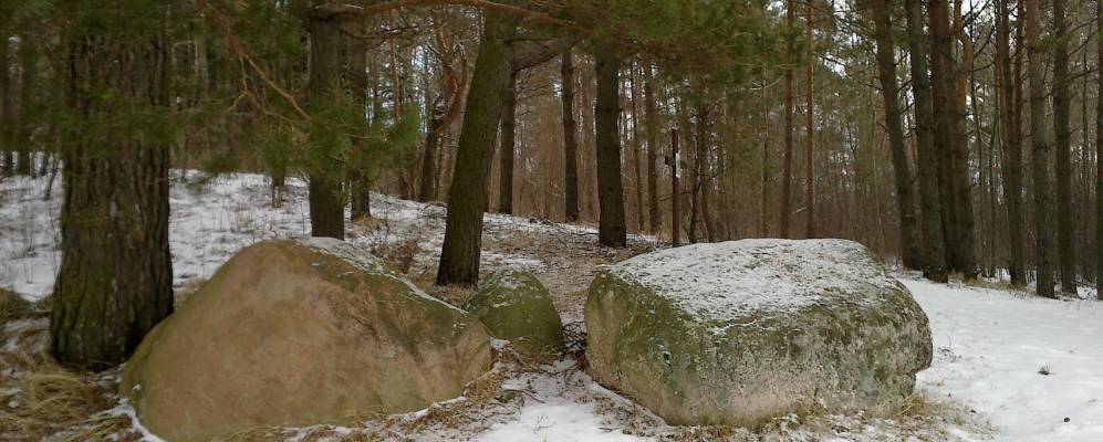 
            Фотография деревни Гроди